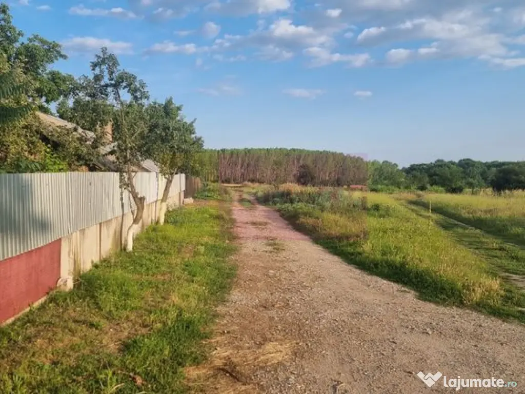 VANZARE TEREN 2150 MP IN SAT TEISORI (GR) 