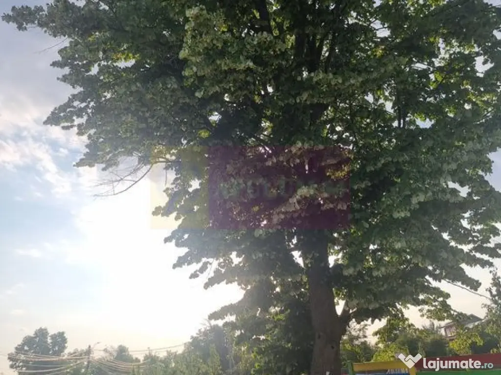 VANZARE TEREN 2150 MP IN SAT TEISORI (GR) 