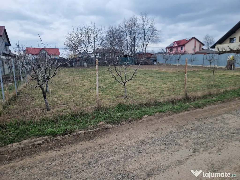 Teren Intravilan Valea Ursului Iasi - direct de la Proprietar 