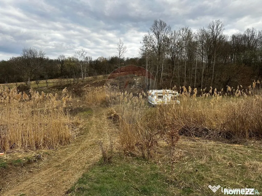 Teren cu panorama superba în Berchezoaia + bonus rulota