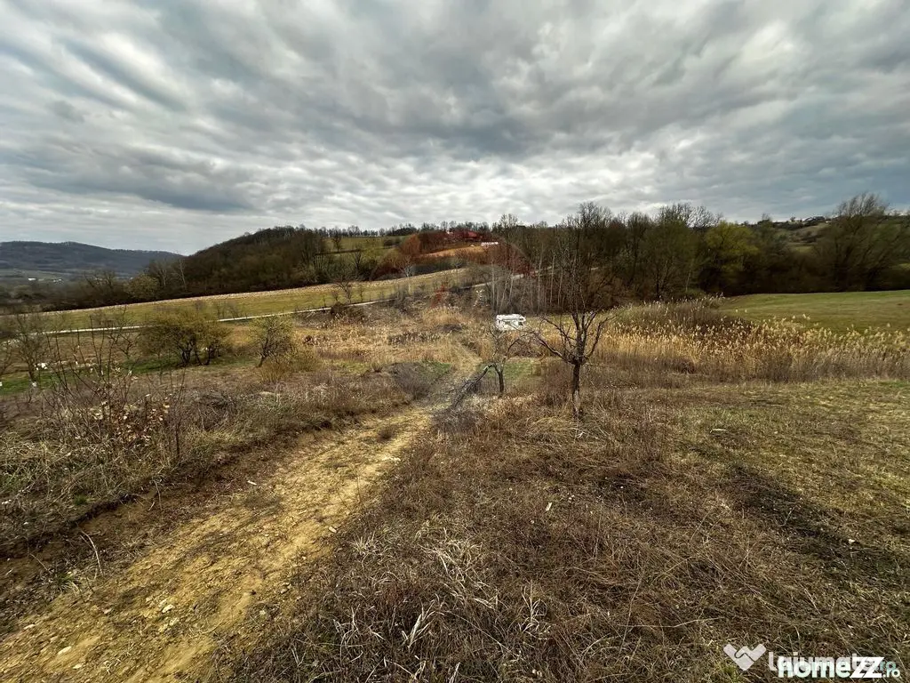 Teren cu panorama superba în Berchezoaia + bonus rulota