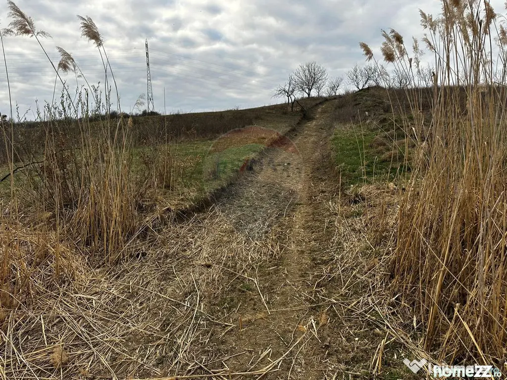 Teren cu panorama superba în Berchezoaia + bonus rulota