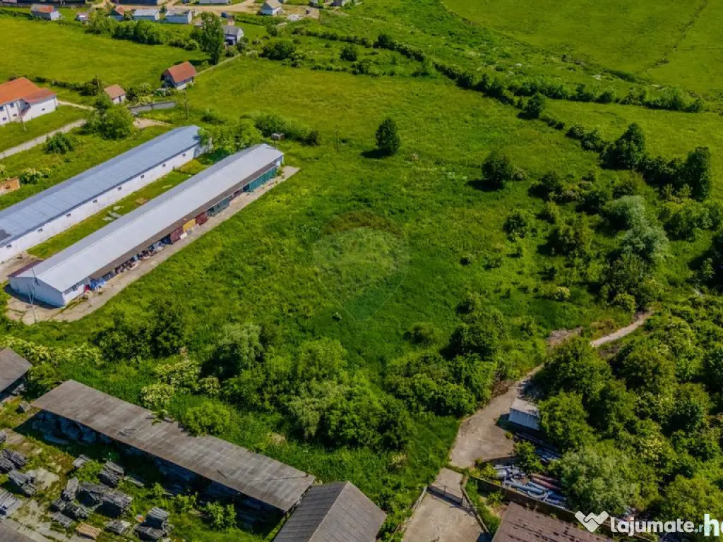 Închiriez Teren Industrial 9.335 mp – Teliu, Brașov (... 