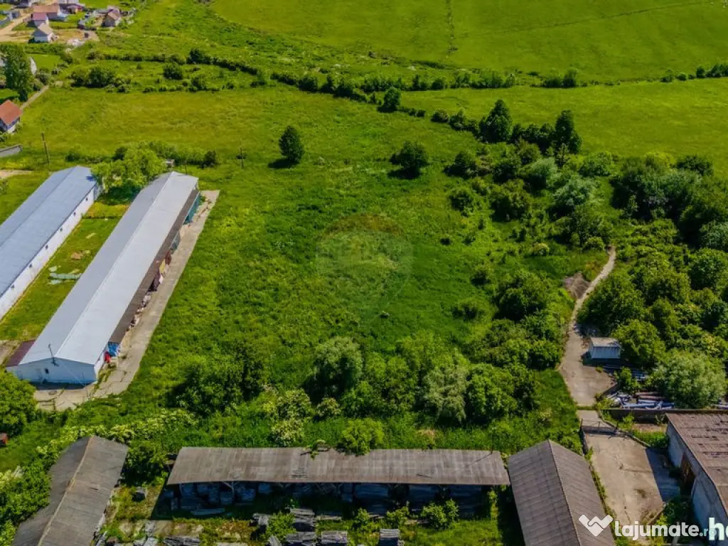 Închiriez Teren Industrial 9.335 mp – Teliu, Brașov (... 