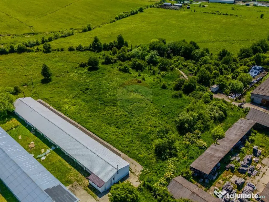 Închiriez Teren Industrial 9.335 mp – Teliu, Brașov (... 