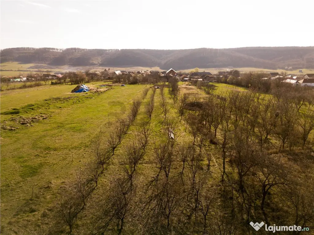 RECO Teren intravilan de in Betfia – locatie linistita,... 