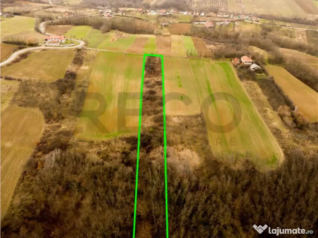 RECO Teren intravilan in Ceica Bihor 