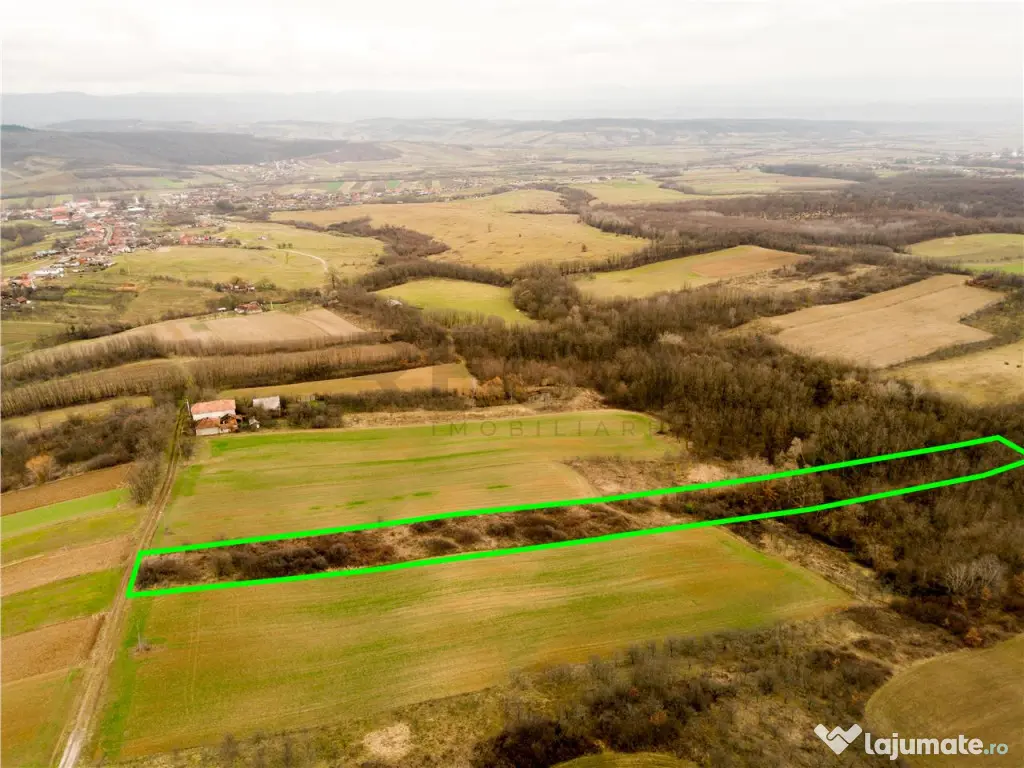 RECO Teren intravilan in Ceica Bihor 