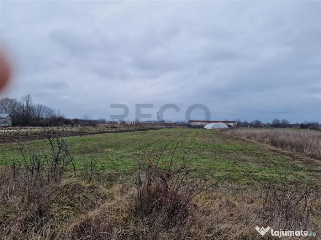 Teren intravilan in Bors cu front mare 