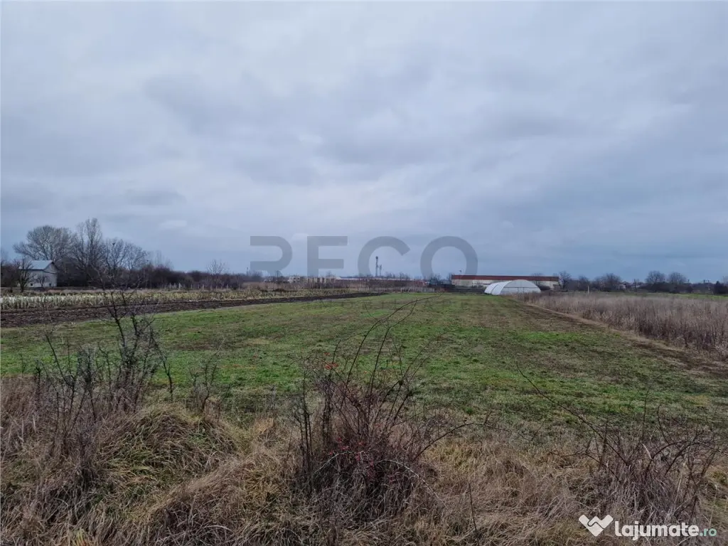 Teren intravilan in Bors cu front mare 