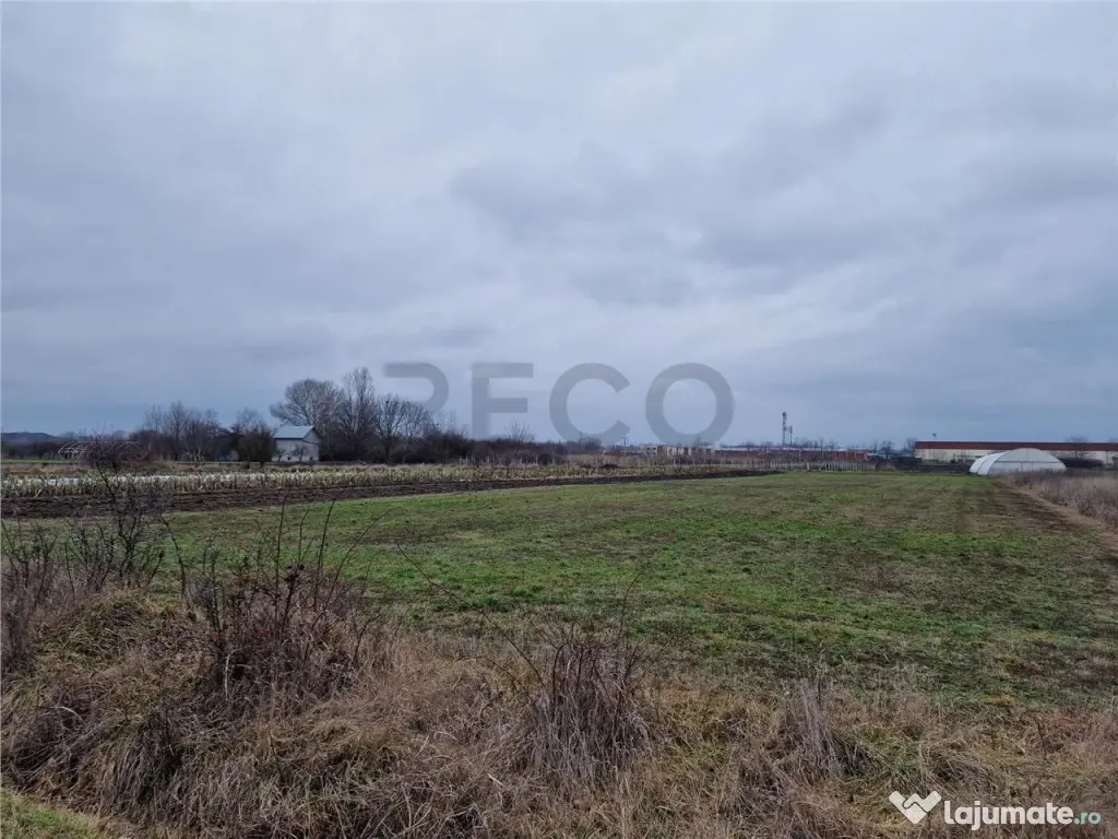 Teren intravilan in Bors cu front mare 