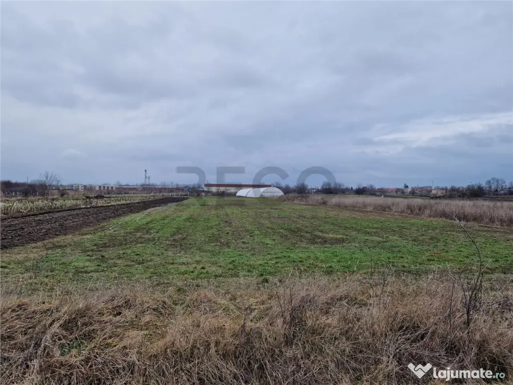 Teren intravilan in Bors cu front mare 