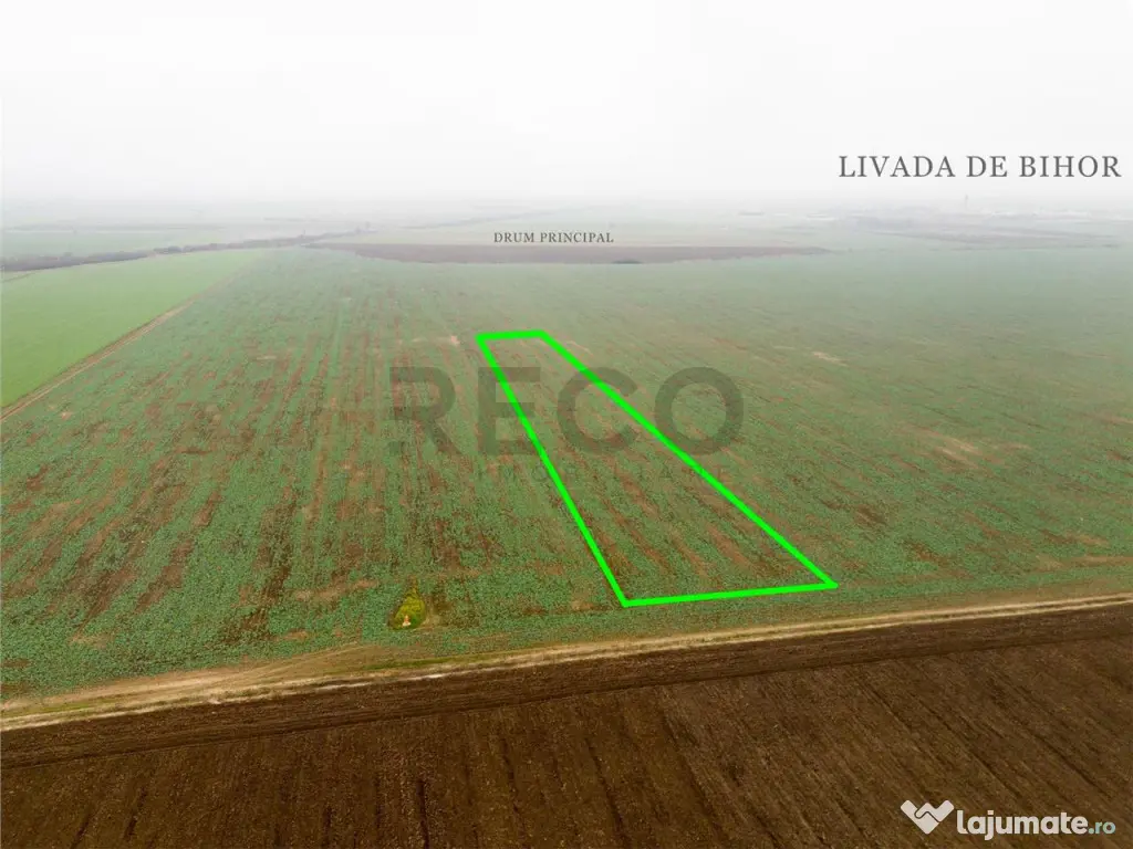 RECO Teren extravilan 5800 mp Livada de Bihor 