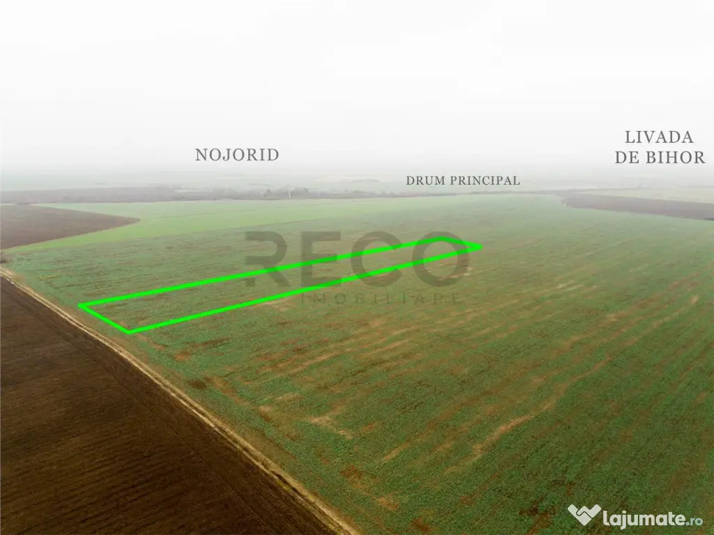 RECO Teren extravilan 5800 mp Livada de Bihor 