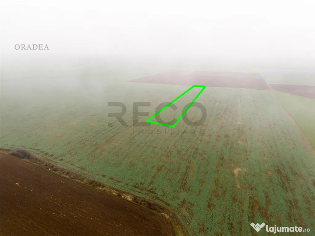 RECO Teren extravilan 5800 mp Livada de Bihor 