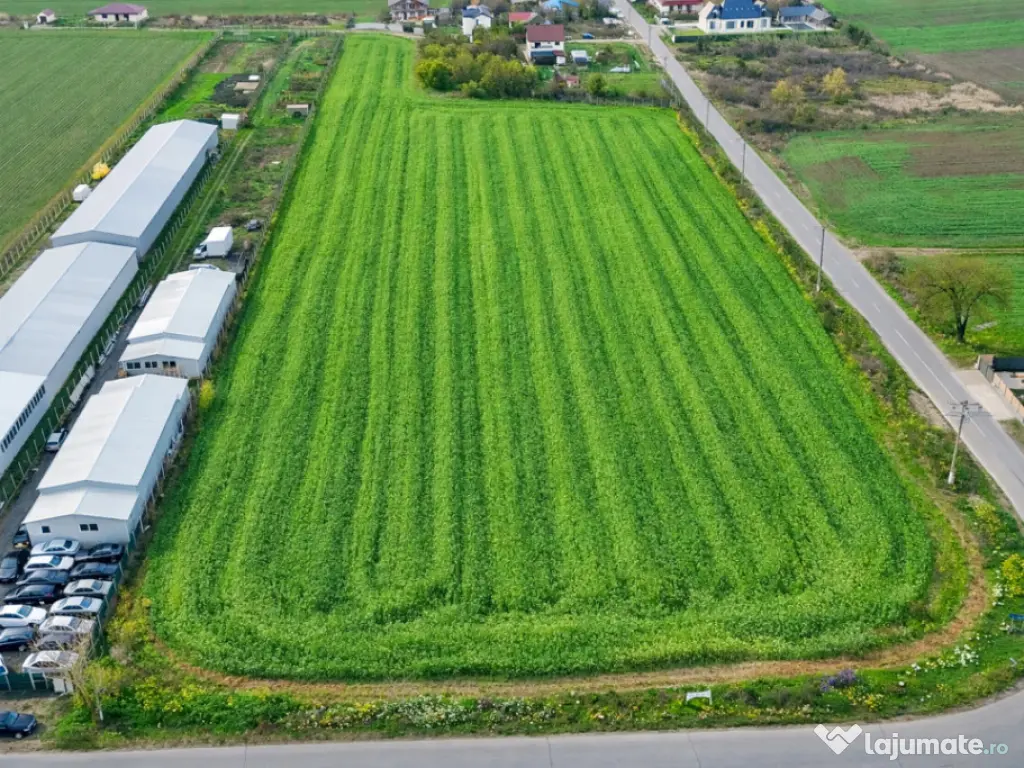 Teren intravilan 7.811 mp | Ciolpani, Ilfov | Acces drum pub 