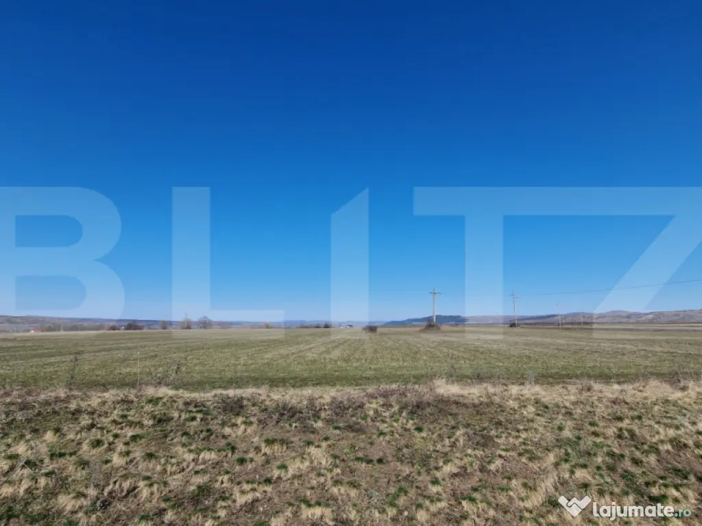 Teren intravilan, 29.000mp, front 102mp, utilitati in zona, 