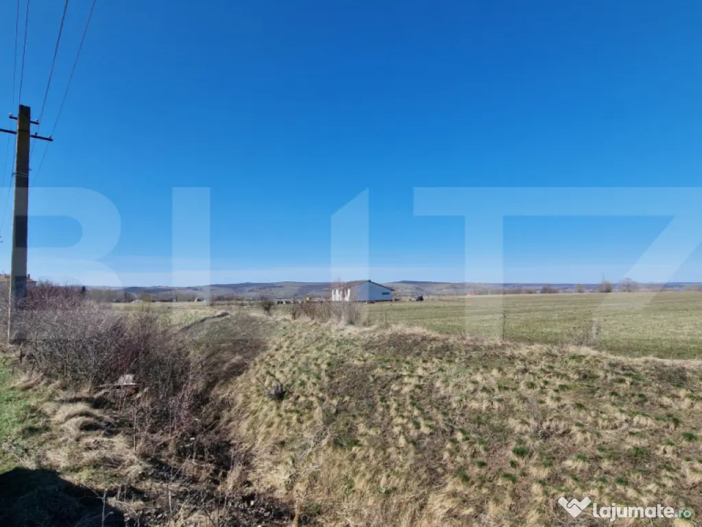 Teren intravilan, 29.000mp, front 102mp, utilitati in zona, 