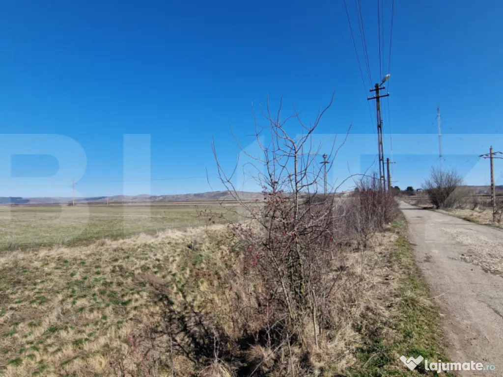 Teren intravilan, 29.000mp, front 102mp, utilitati in zona, 