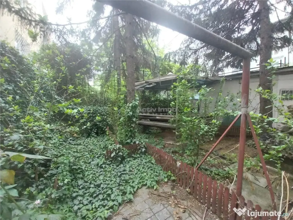 Casa / Vila 350 mp - Cismigiu / Strada Crisana 