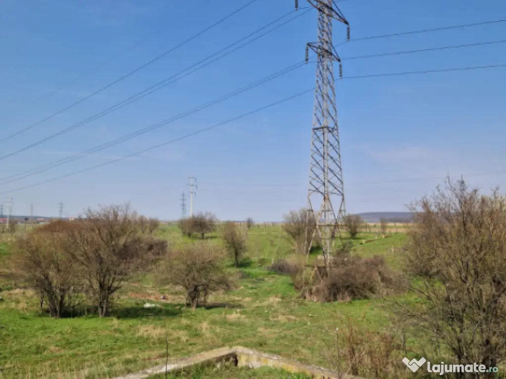 Fermă de vânzare 8 ha – Balș, județul Olt 