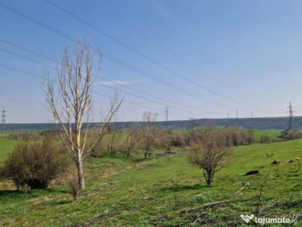 Fermă de vânzare 8 ha – Balș, județul Olt 