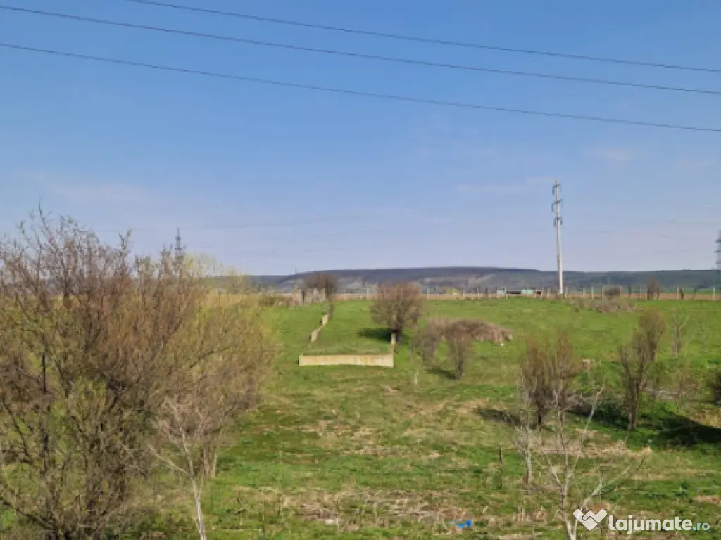 Fermă de vânzare 8 ha – Balș, județul Olt 