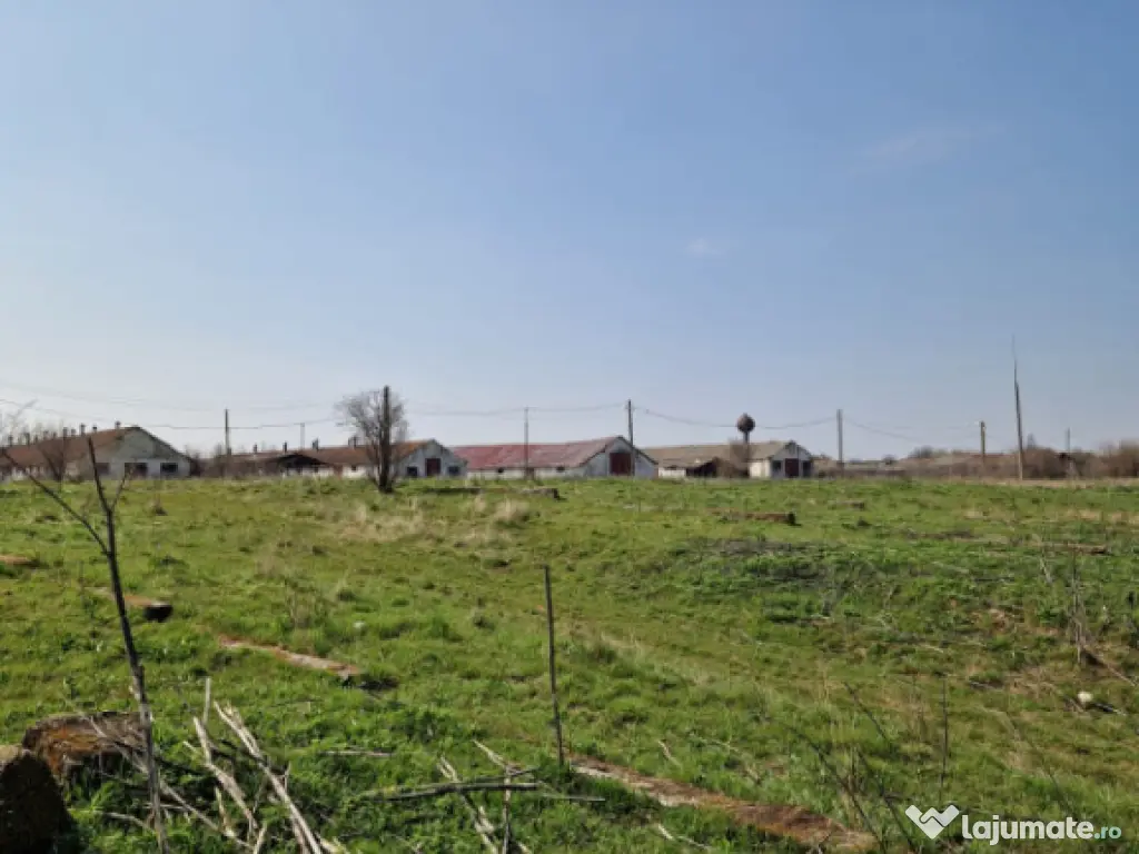 Fermă de vânzare 8 ha – Balș, județul Olt 