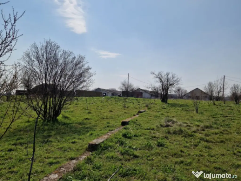 Fermă de vânzare 8 ha – Balș, județul Olt 