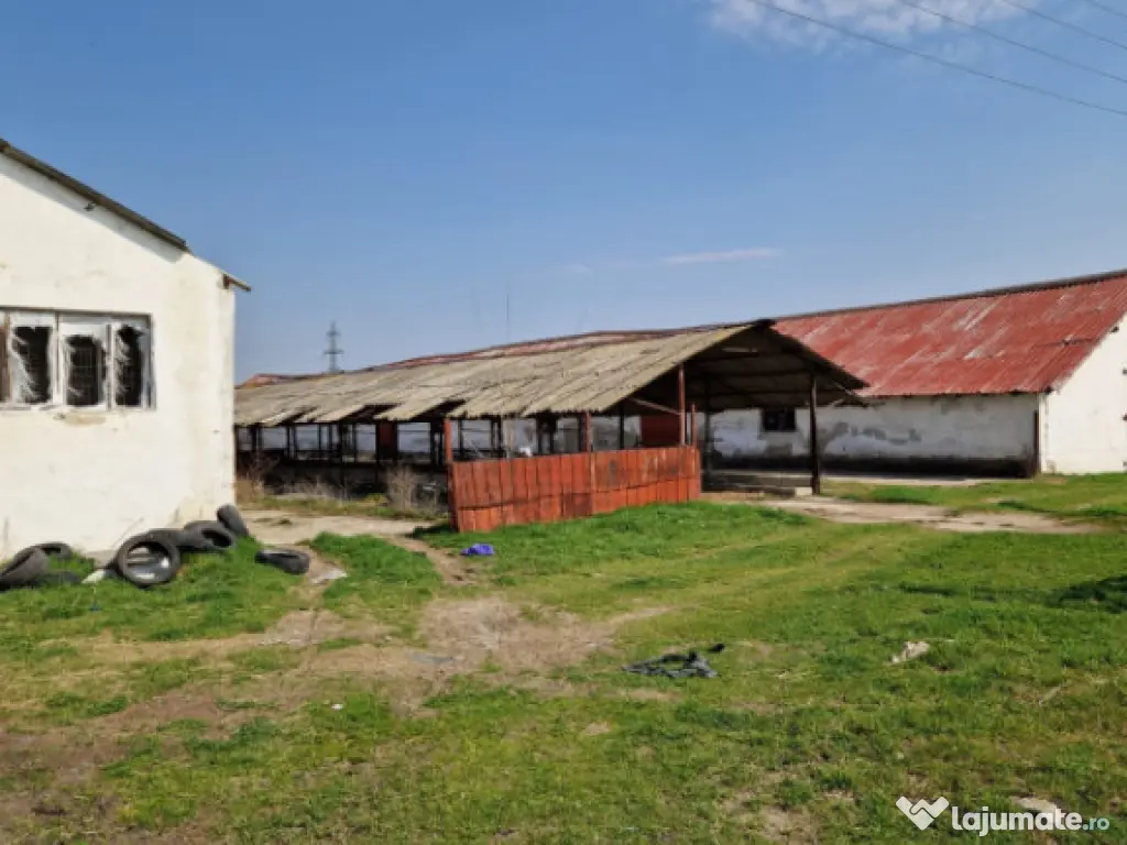 Fermă de vânzare 8 ha – Balș, județul Olt 