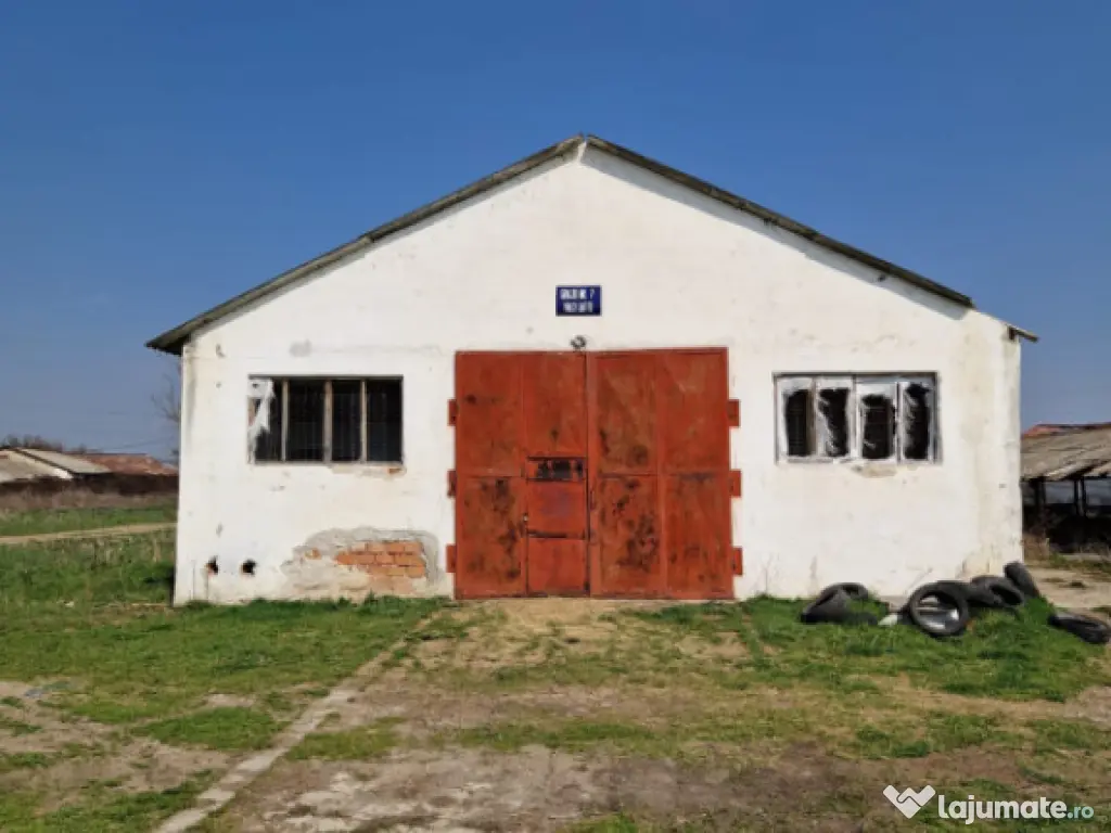 Fermă de vânzare 8 ha – Balș, județul Olt 