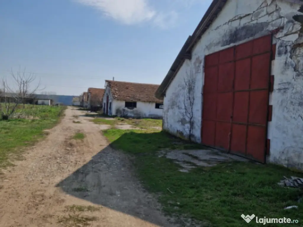 Fermă de vânzare 8 ha – Balș, județul Olt 