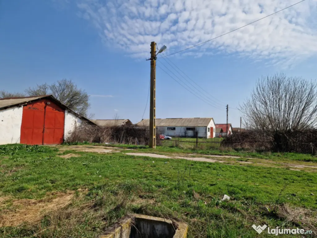 Fermă de vânzare 8 ha – Balș, județul Olt 