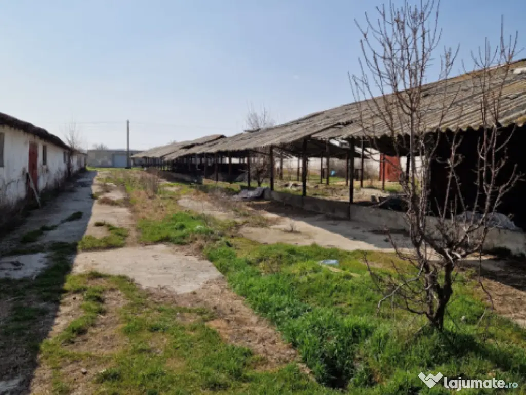 Fermă de vânzare 8 ha – Balș, județul Olt 