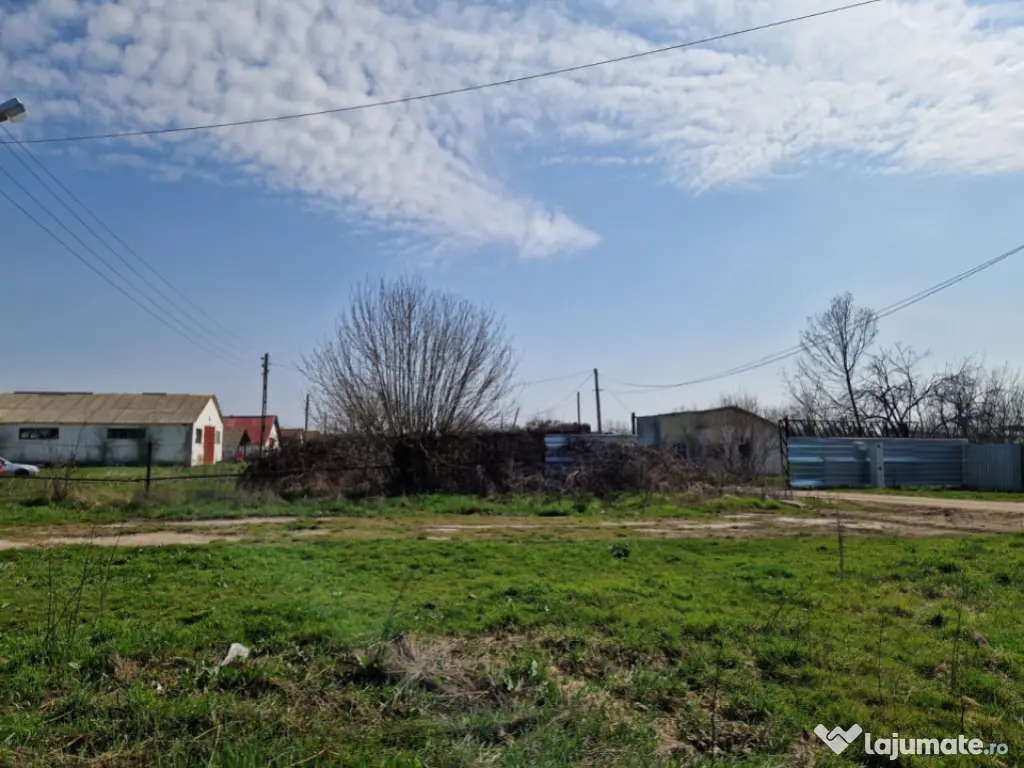 Fermă de vânzare 8 ha – Balș, județul Olt 