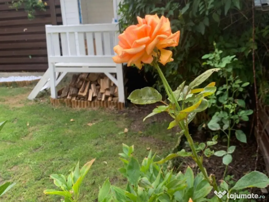 Vila superba direct de la proprietar Corbeanca 