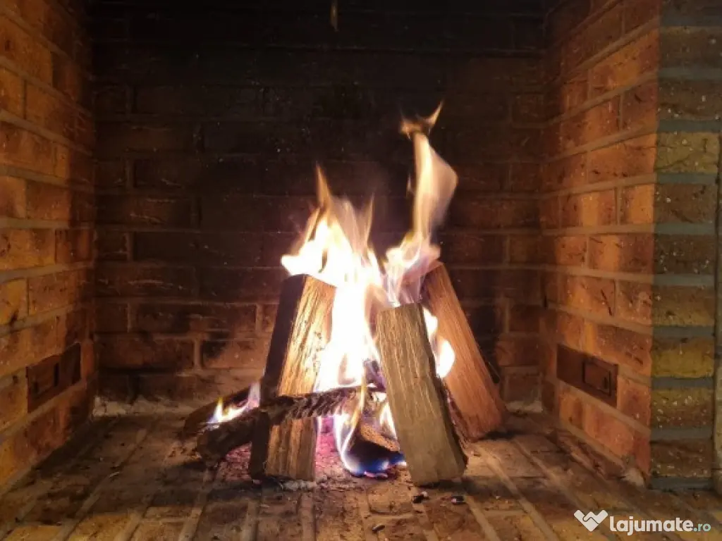 Vila superba direct de la proprietar Corbeanca 