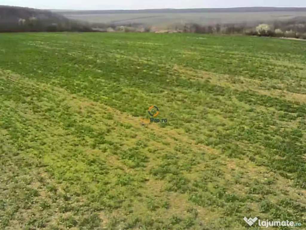 Proprietar Teren langa Domeniile Herneacova 