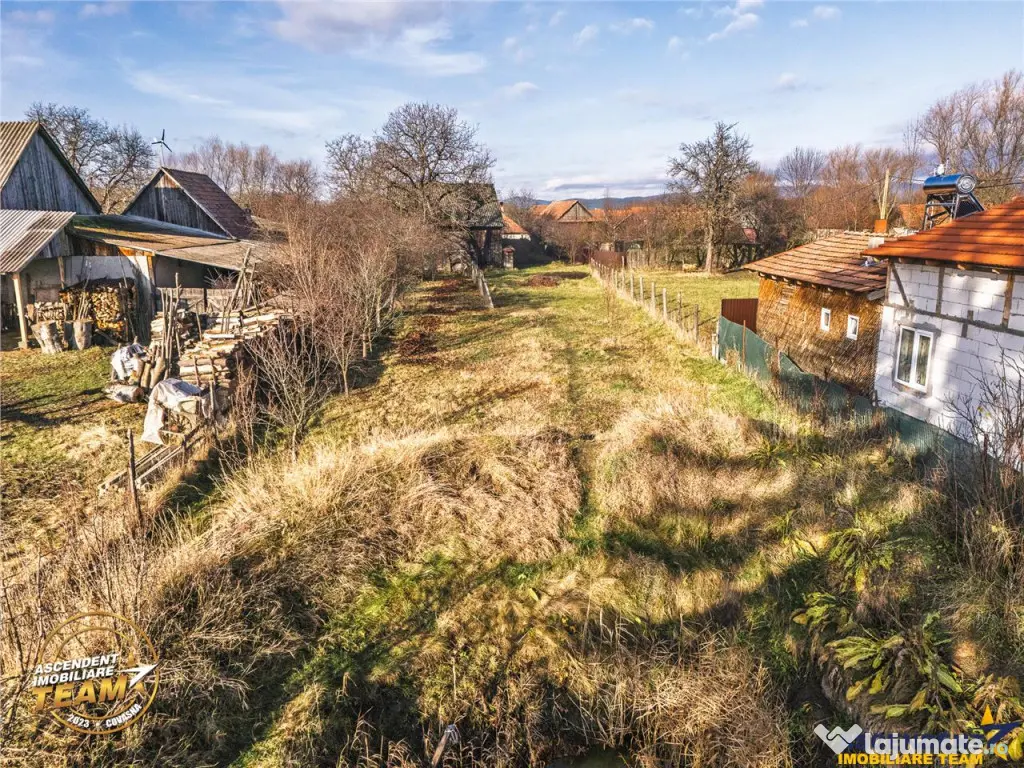 FILM! Casa cu sura, pivnita, balta cu pesti, 2.280 mp teren 
