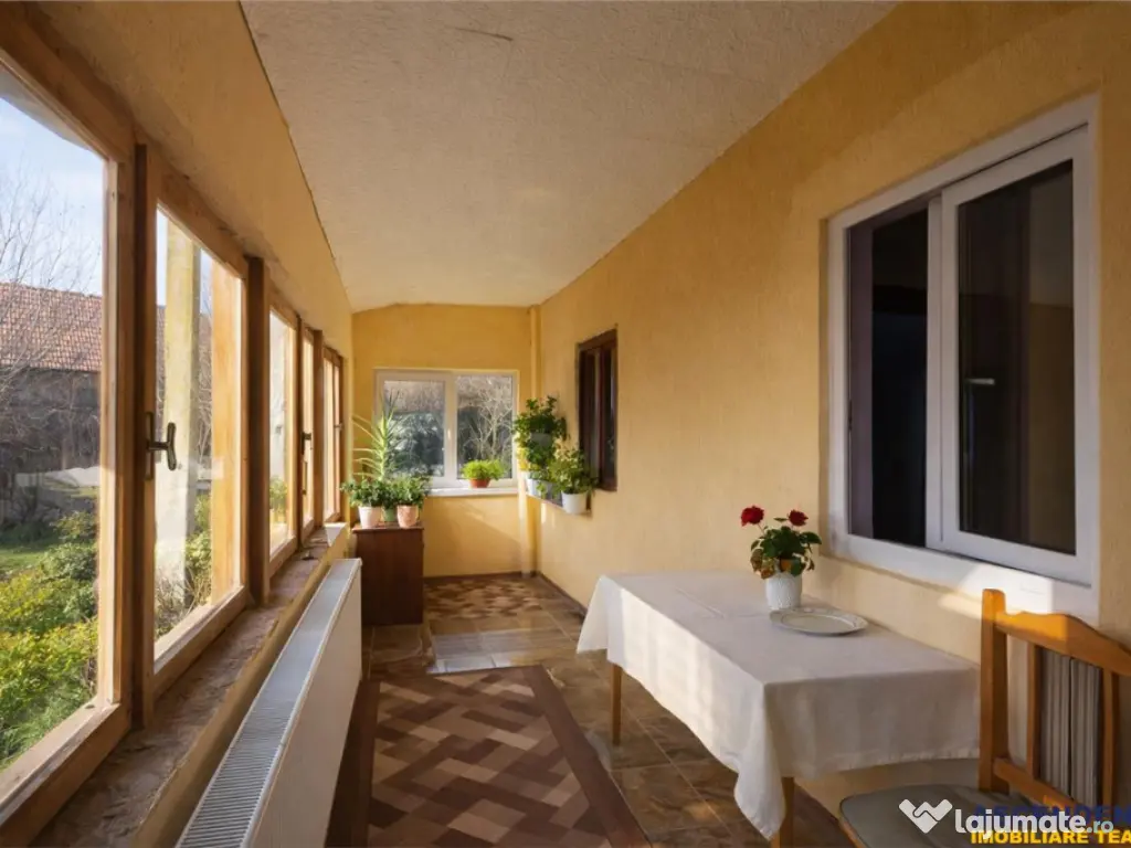 FILM! Casa cu sura, pivnita, balta cu pesti, 2.280 mp teren 