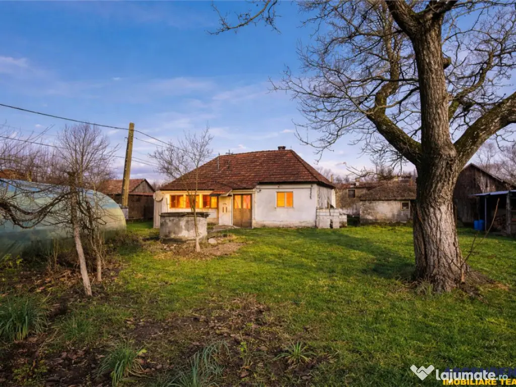 FILM! Casa cu sura, pivnita, balta cu pesti, 2.280 mp teren 