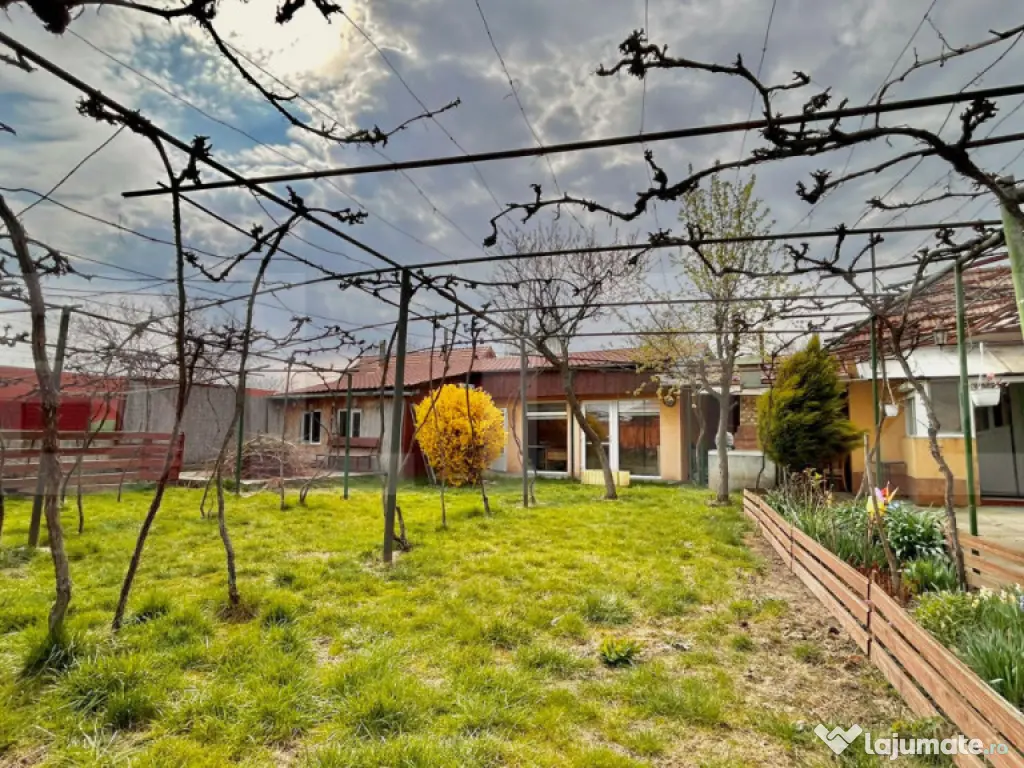 Casă de închiriat , Episcopia , 480 mp teren 