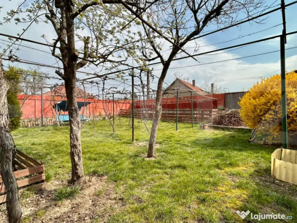 Casă de închiriat , Episcopia , 480 mp teren 