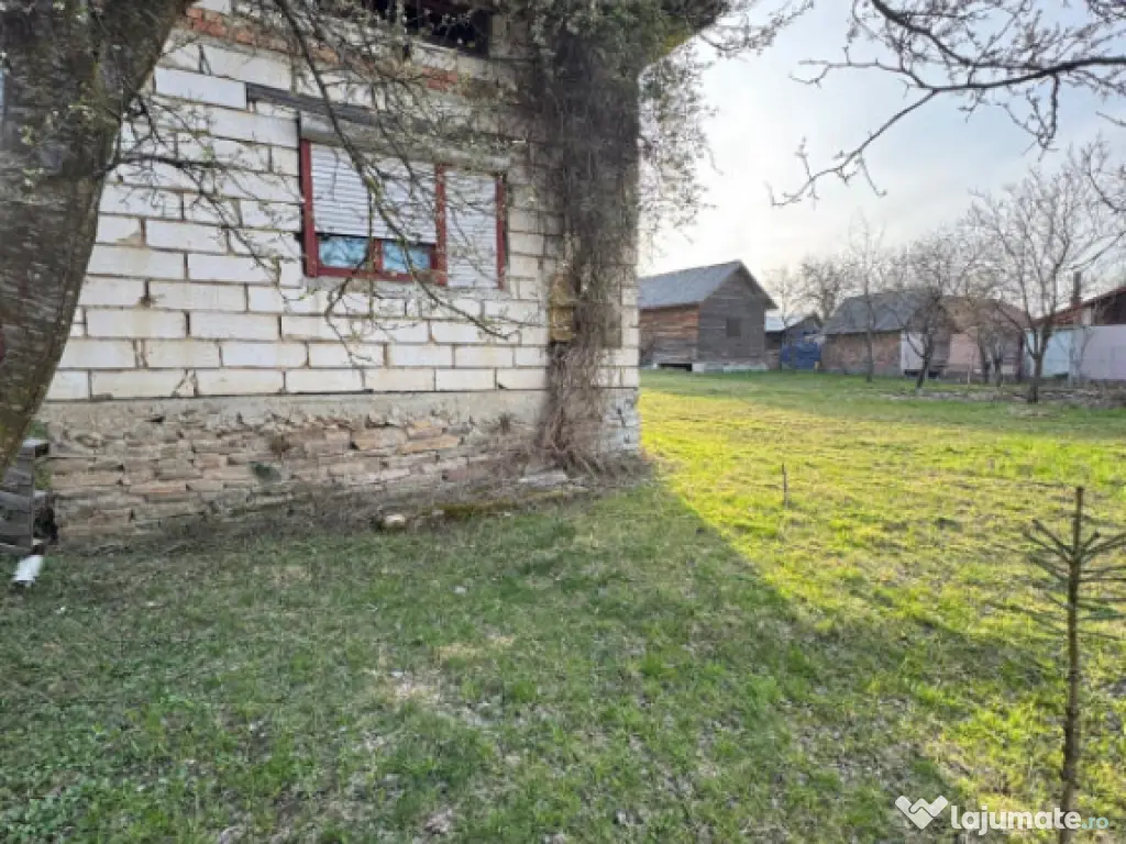 Casă Asuaju de Sus, 47 ari teren, investiție, necesită re