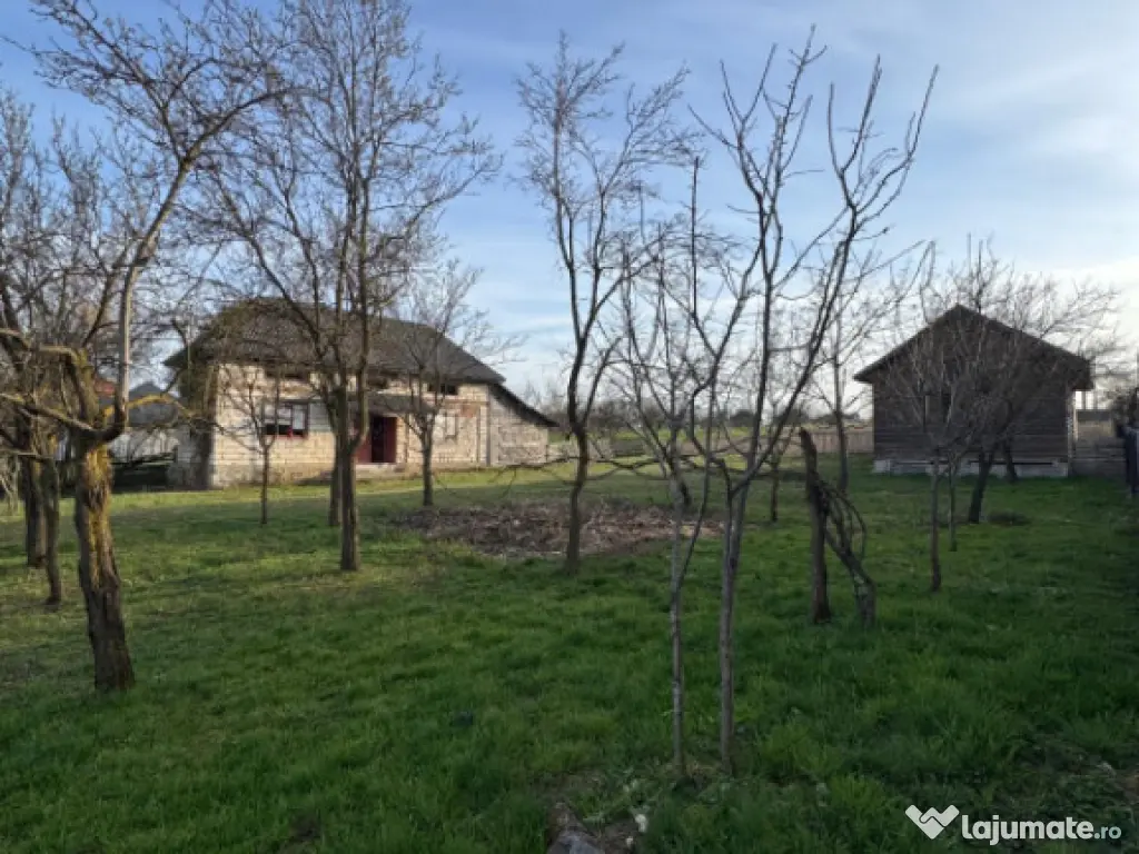 Casă Asuaju de Sus, 47 ari teren, investiție, necesită re