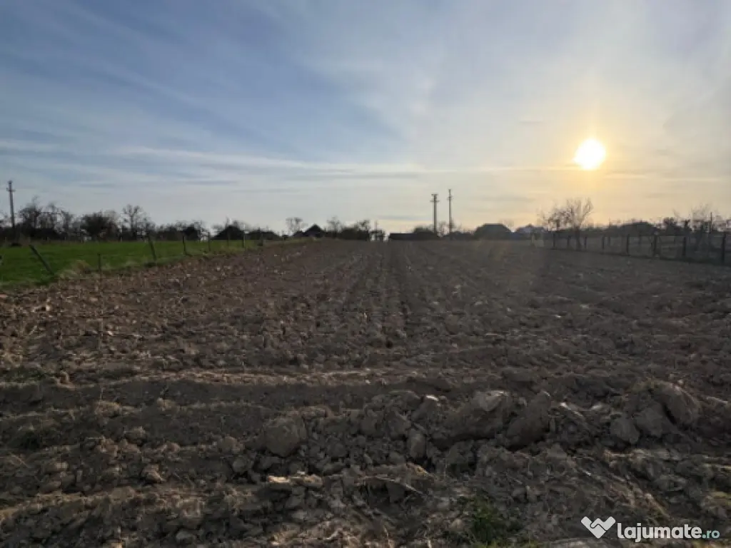 Casă Asuaju de Sus, 47 ari teren, investiție, necesită re