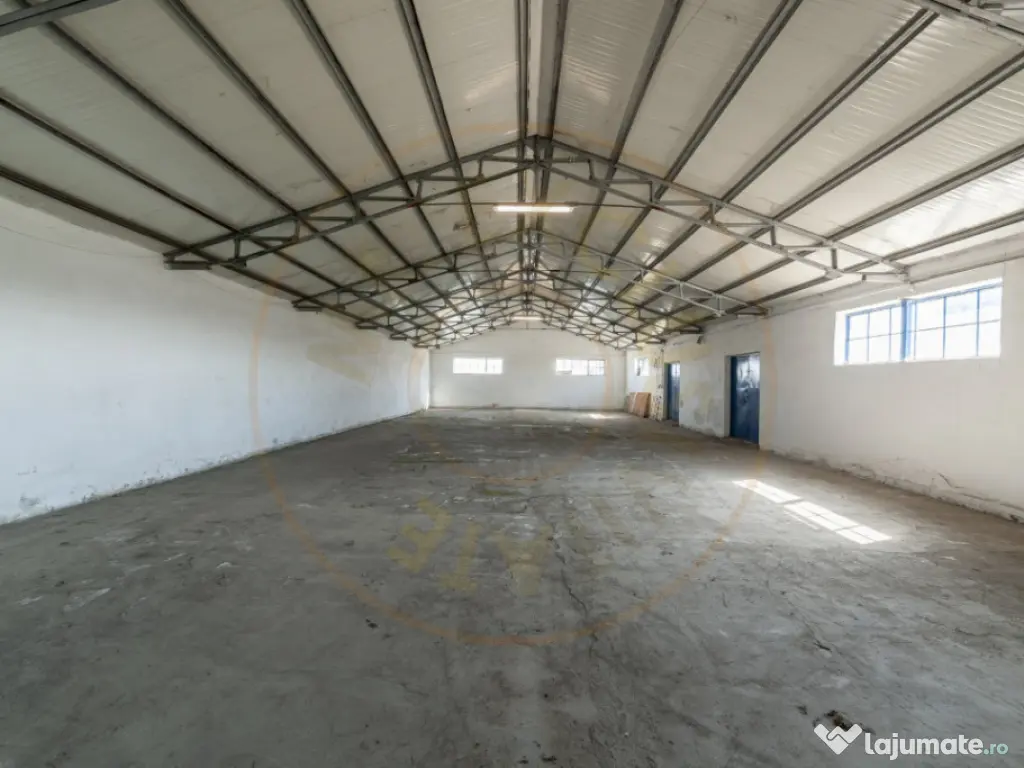 Hale & Birouri Mărăcineni - 1.294 mp - Deschidere la DN 