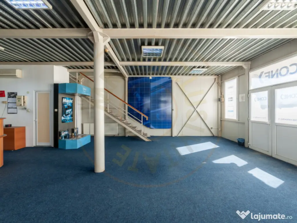 Hale & Birouri Mărăcineni - 1.294 mp - Deschidere la DN 