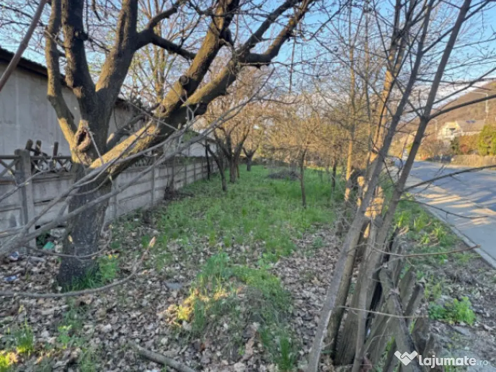 Teren 7 ari str. 8 Martie, PUZ aprobat, utilități, 40.000? 