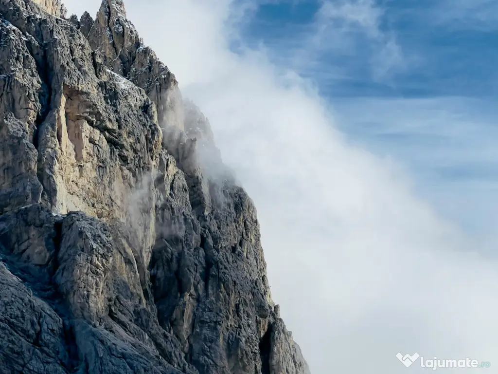 test ghiveci 2026 nou 